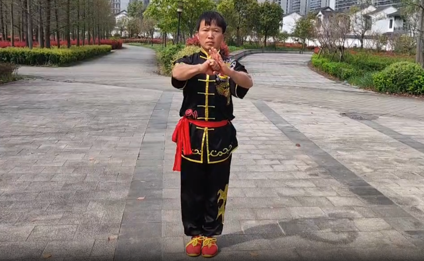 方家拳第一路，表演者：徐辉